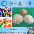 Skin Gelatin for Food Additive